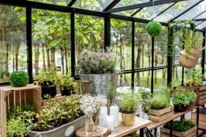 Naturalne produkty ziołowe – zdrowie prosto z natury